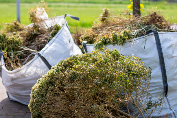 Best Construction Debris Removal  in , WI